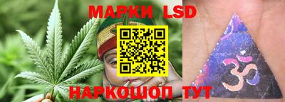 скорость Донской