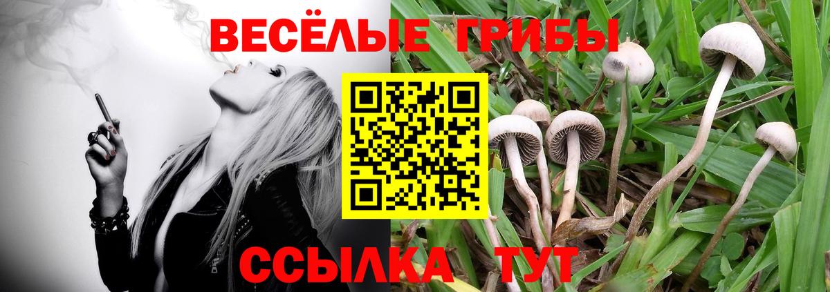 Псилоцибиновые грибы прущие грибы  наркота  Михайловск  Вход с VPN 